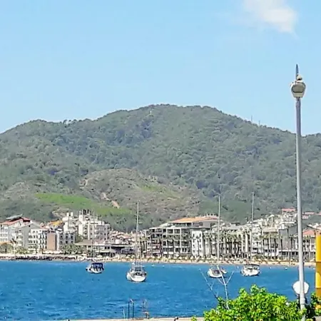 View *
